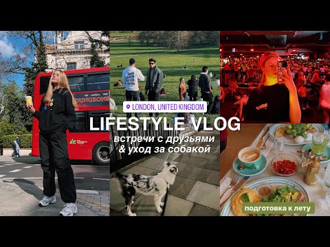 Видео: lifestyle vlog: моя жизнь | результаты сессии, встречи с друзьями, уход за собакой