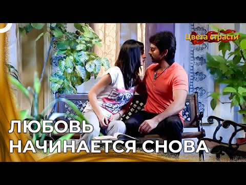 Видео: Майра и Рудра Начинают Сближаться |  Цвета страсти