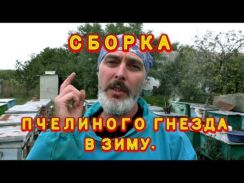 Видео: СБОРКА ПЧЕЛИНОГО ГНЕЗДА В ЗИМУ.