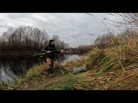Видео: РЫБАЛКА НА ПОПЛАВОЧНУЮ УДОЧКУ В ОКТЯБРЕ