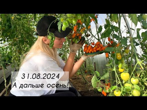 Видео: На даче #24//Крайний день лета этого года//собираем урожай//