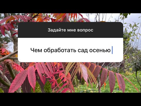 Видео: Чем обработать сад осенью