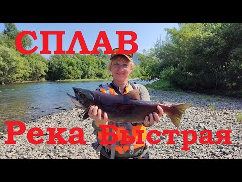 Видео: Камчатка 4 часть Сплав по реке Быстрая 1серия