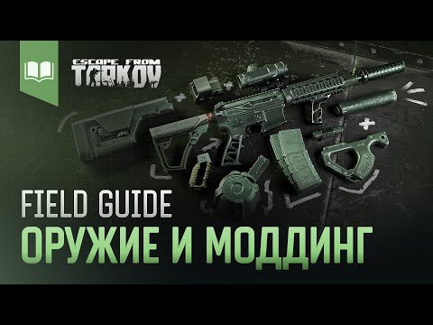 Видео: Field Guide #6: Оружие и Моддинг