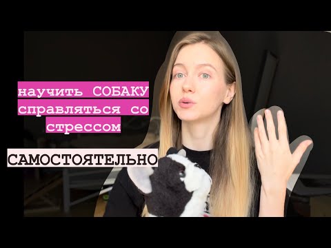 Видео: Научить СОБАКУ сбрасывать СТРЕСС самостоятельно