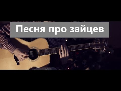 Видео: А нам всё равно ("Песня про зайцев" из к/ф "Бриллиантовая рука")⎪Гитарный кавер