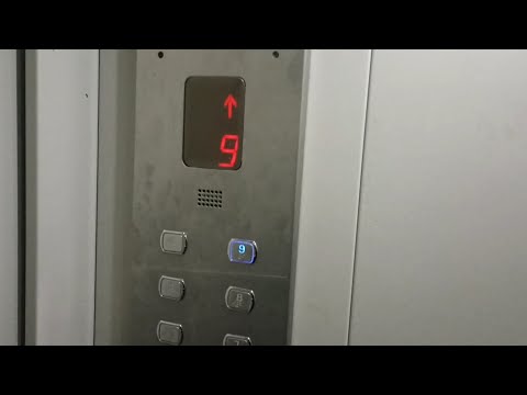 Видео: 🔥Редкий звук прибытия! Двухсторонний лифт Сиблифт (2015г.в) V=1 м/с Q=1000 кг (238)