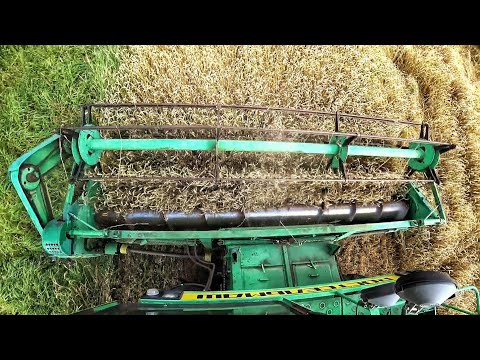 Видео: Harvest 2020. Уборочная 2020!!! Комбайн Дон 1500Б в деле