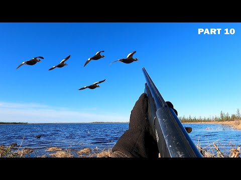 Видео: ОХОТА НА ТУРПАНА НА КОЛЫМЕ 2022. 10 СЕРИЯ