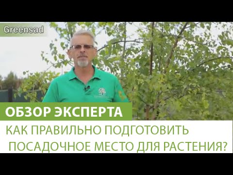 Видео: Как правильно подготовить посадочное место для растения?