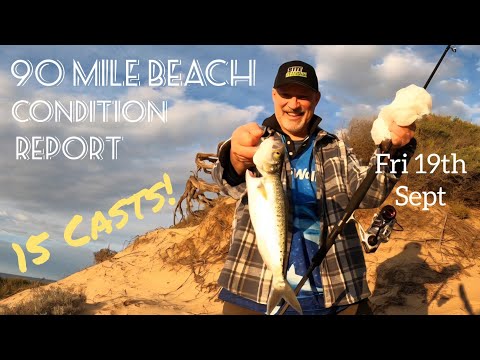 Видео: Отчёт о состоянии 90-мильного пляжа. 15 забросов! Пятница, 19 сентября