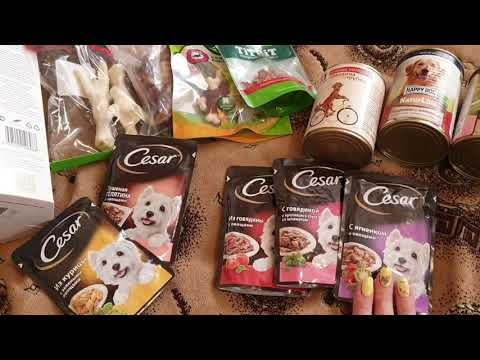 Видео: Тошкино меню