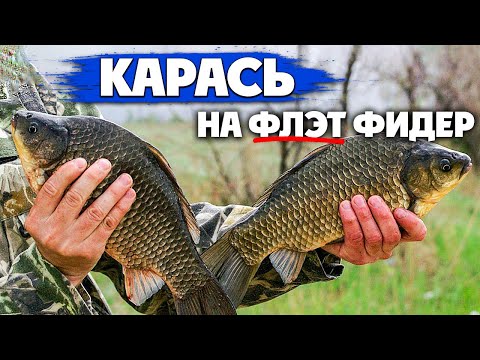 Видео: Как ловить КАРАСЯ на Флэт фидер весной. Флэт метод и рыбалка на Карася
