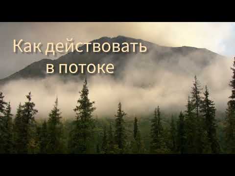 Видео: КАК ДЕЙСТВОВАТЬ В ПОТОКЕ #впотоке #здесьисейчас #состояние #осознанность