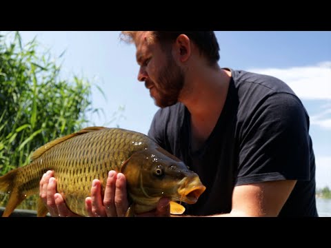 Видео: Как поймать карпа на диком водоёме рыболовный фильм