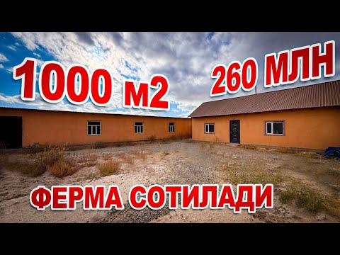 Видео: ХИВАДА АРЗОН ФЕРМА СРОЧНО СОТИЛАДИ 1000.КВ.М 260.МЛН.СУМ ГАЛИШИЛАДИ