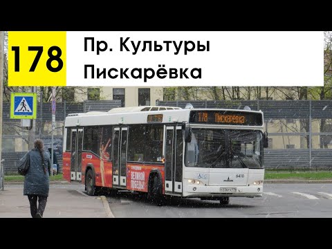 Видео: Автобус 178 "Пискарёвка - пр. Культуры"