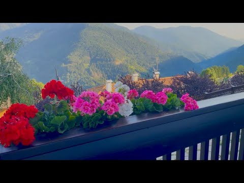 Видео: Викенд в итальянской горной деревне Трентино Италия 🏔️🇮🇹 #жизньвиталии #деревня #trentino #italy 