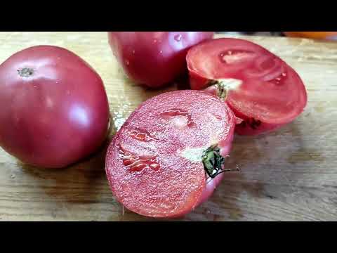 Видео: Сорта томатов Ч.8 Туфельки султана ,Тидвел немецкий ,Слоновье сердце