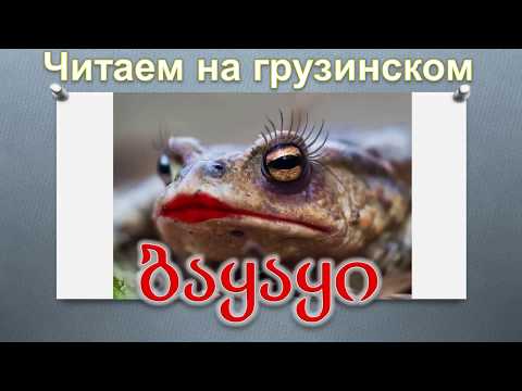 Видео: 8. Читаем на грузинском. Анекдот про лягушку.
