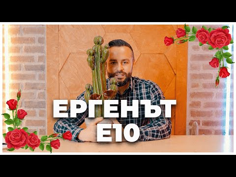 Видео: ЕРГЕНЪТ ЕП. 10 📖🎓