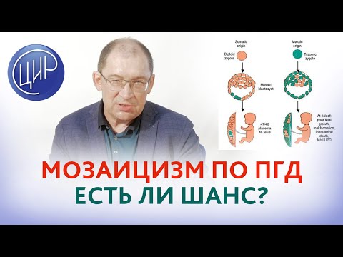 Видео: Мозаичная трисомия. Тетрасомия длинного плеча 7 хромосомы. Есть ли шанс? Поможет ли ПГД?