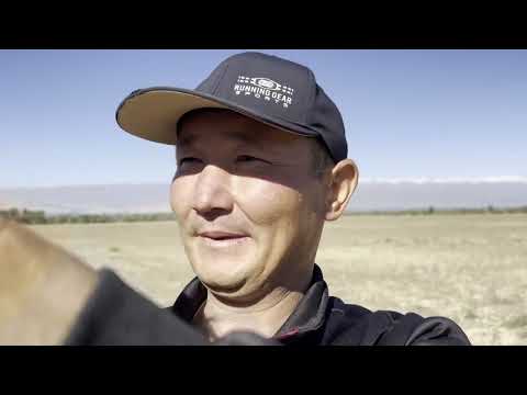 Видео: "Ат чаппай калсам ооруп калам..." Ысман Жорготаев | "Мекен жана Мен"