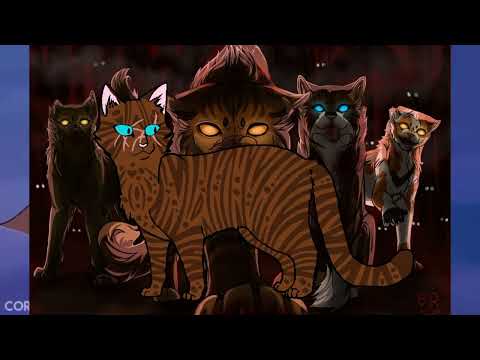 Видео: КВ МНЕНИЕ: Хантерам стоило остановиться?