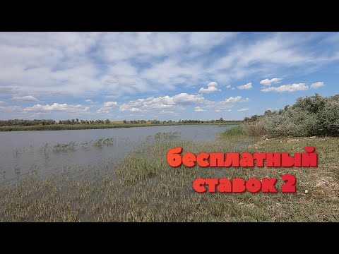 Видео: бесплатный ставок 2