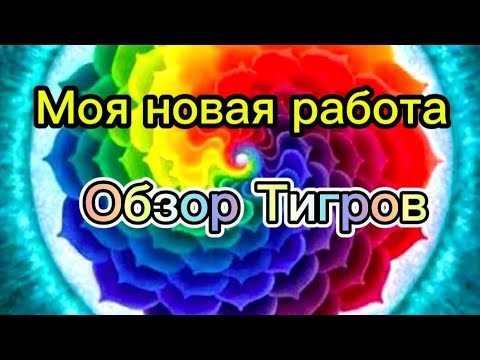 Видео: Обзор Готовой работы и Тигров посылка с Алиэкспресс