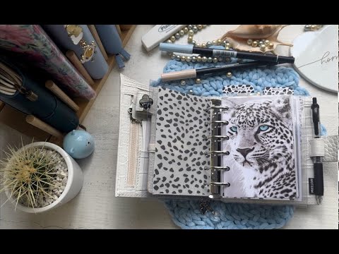 Видео: Мой голубоглазый Moterm || Организация и планирование в формате pocket