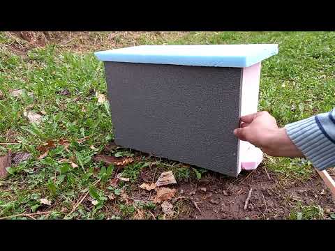 Видео: Капан за рояци. Ползи и рискове от улавянето на рой