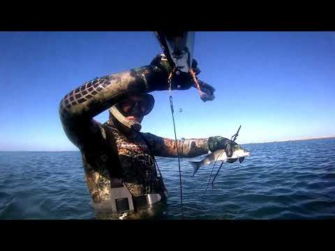 Видео: Подводная охота в Азербайджане