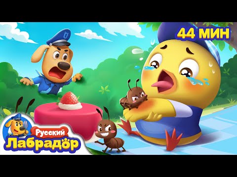 Видео: 🐜С муравьями шутки плохи｜⚠️Правила безопасности в жизни｜🔍Сборник мультиков для детей｜Шериф Лабрадор