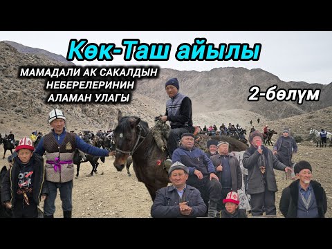 Видео: Мамадали ак сакалдын неберелеринин аламан улагы өтө жакшы той болду 14.12.24.