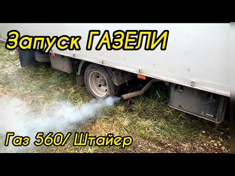 Видео: Запуск Газели с мотором ГАЗ-560 / Штайер