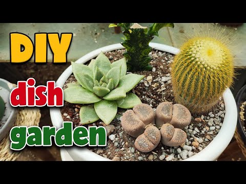 Видео: Как создать красивый сад из тарелок | Пошаговое руководство