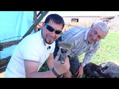 Видео: БУЛИ НА СЕЛІ №22 Комарів