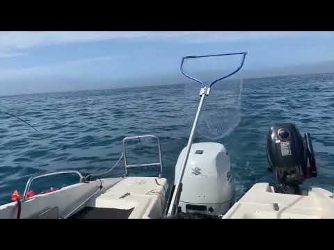 Видео: Сима 2022. Нужное место !) Троллинг . 28.05.22