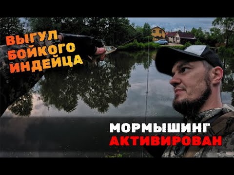 Видео: Выгулял запылившийся тревел "Навахо "Мормышка". Полосатые атакуют!