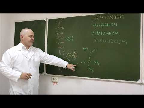 Видео: Лекция 3.1 Введение в биоэнергетику. Синтез АТФ (часть 1)