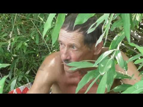 Видео: Обед под берёзкой на Рыжковском (Северном) пруду.  26. 07. 2017