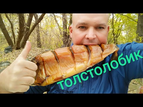 Видео: МУКБАНГ балык Толстолобик/MUKBANG balyk Silver carp