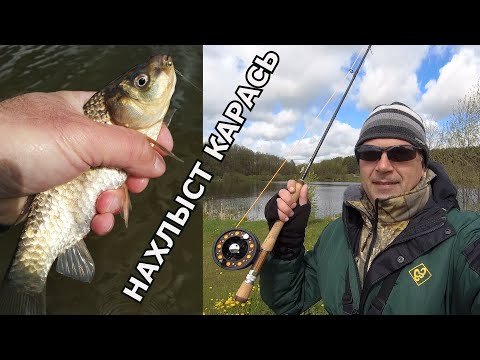 Видео: Нахлыст, первые шаги 2. Караси.