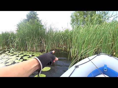 Видео: Шикарные места для Рыбакли! Стаи Окуня и места для ловли Линя и карася