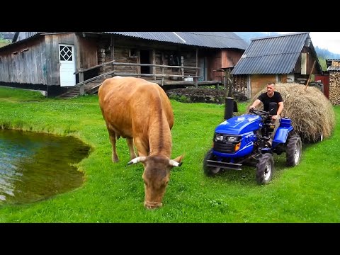 Видео: Жизнь в горной деревне Вдали от Цивилизации, ловлю и запекаю свежую форель.