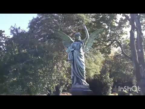 Видео: Северное кладбище Дюсельдорфа.