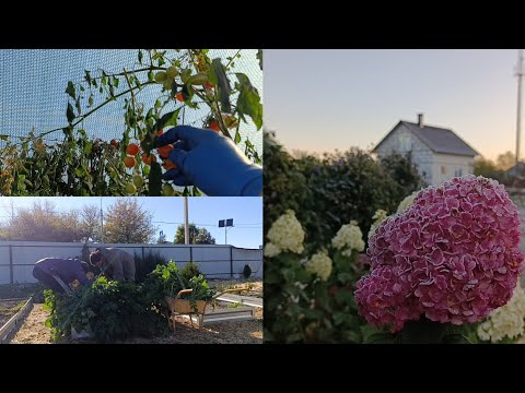 Видео: Сельские будни матушки/Первые морозы/Такое вам никто не покажет 🤣