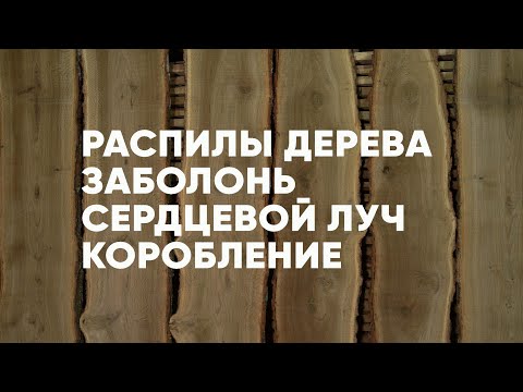 Видео: Распилы дерева, коробление, заболонь, сердцевой луч. AnticWood. Авторский #паркет AnticWood.