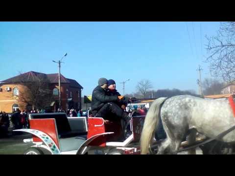 Видео: День села комиши(5)